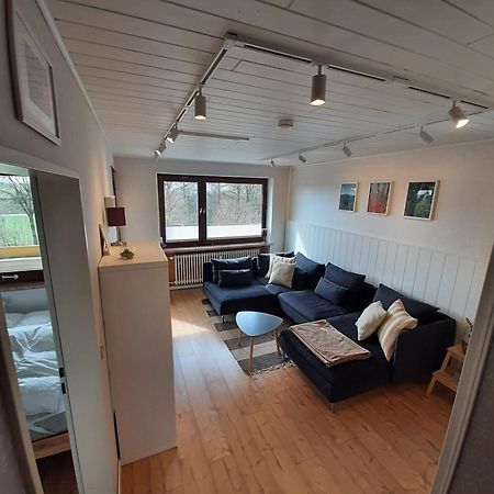 Familien Ferienwohnung Harzer Schoellchen Sankt Andreasberg Exteriör bild